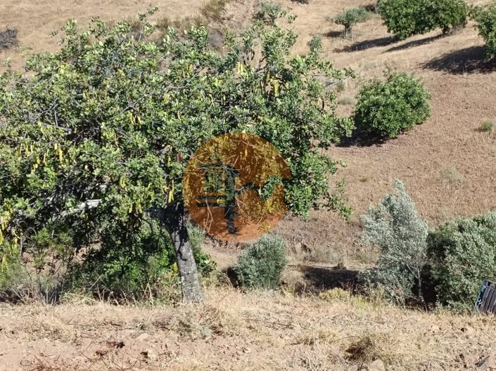 Image No.46-Plot for sale