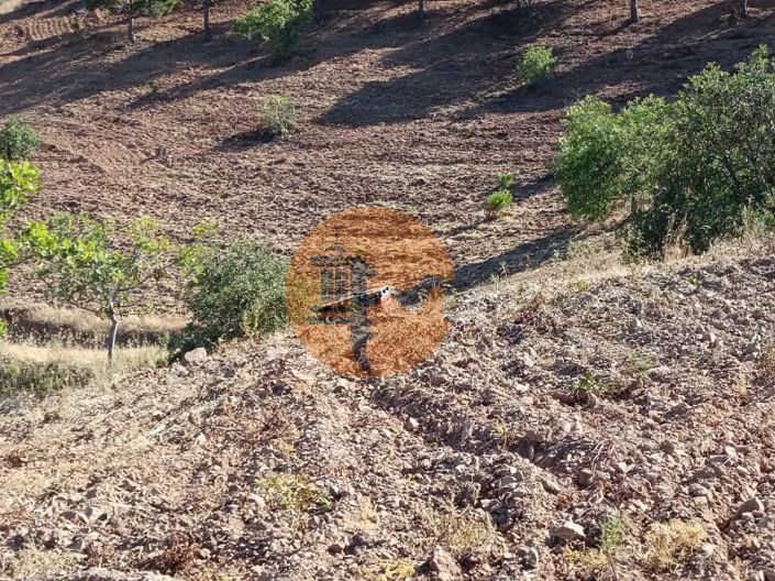 Image No.49-Plot for sale