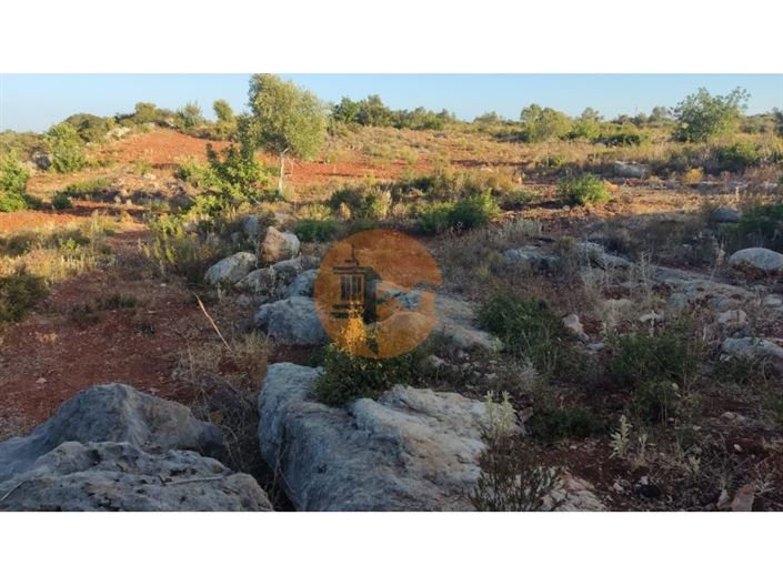 Image No.5-Plot for sale