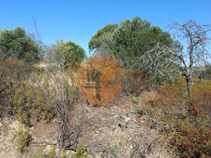 Image No.12-Plot for sale