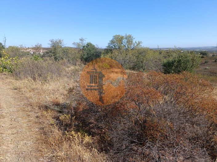 Image No.13-Plot for sale