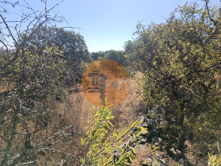 Image No.20-Plot for sale