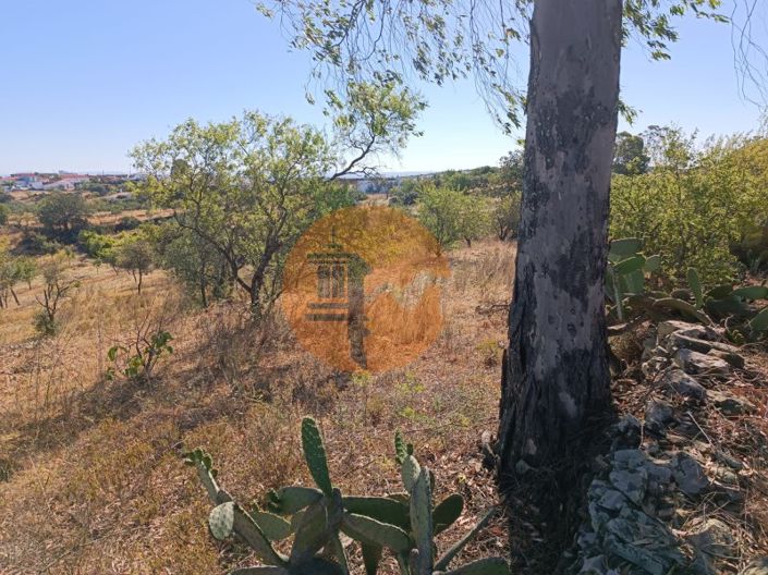 Image No.21-Plot for sale