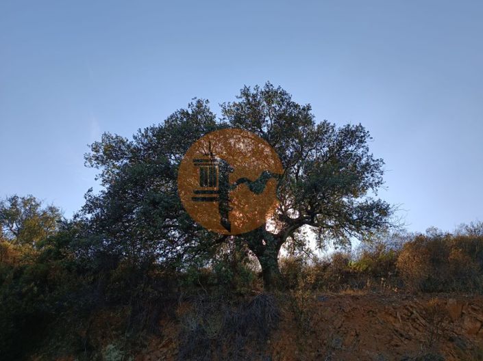 Image No.13-Plot for sale