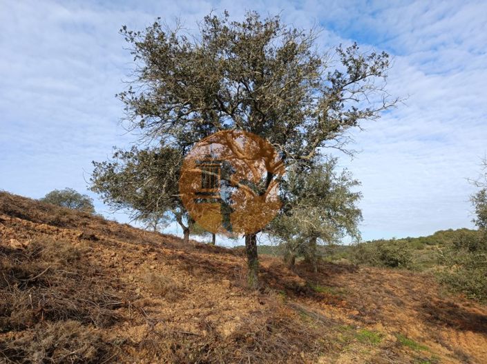 Image No.2-Plot for sale