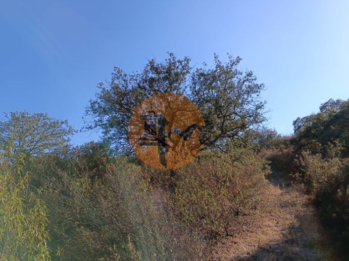 Image No.30-Plot for sale