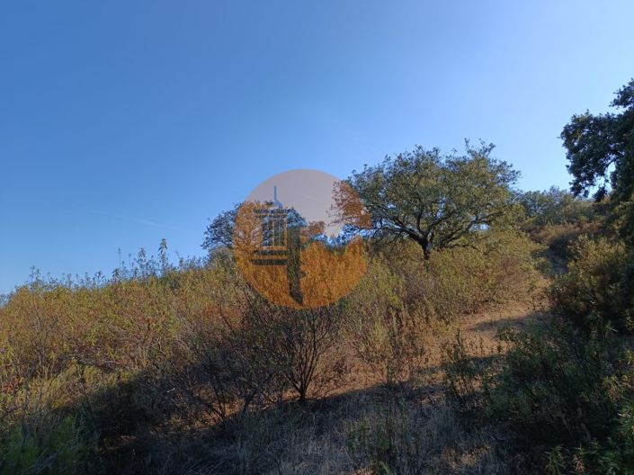 Image No.36-Plot for sale