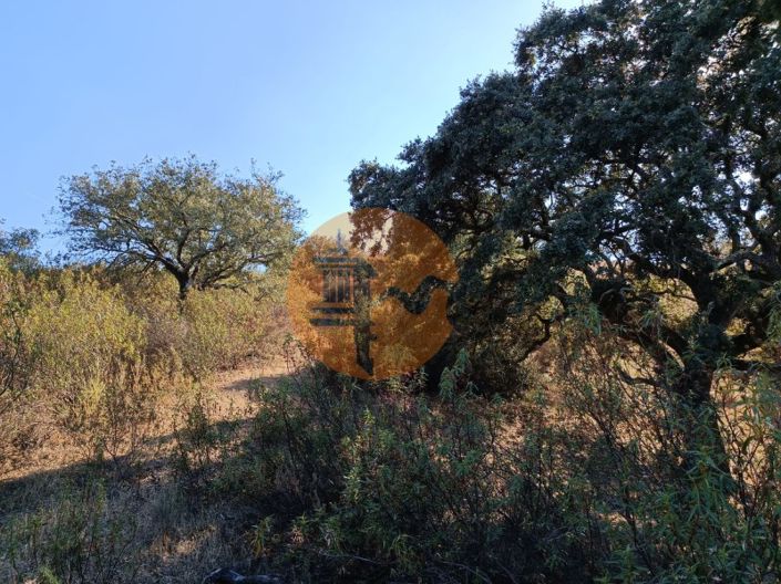 Image No.38-Plot for sale