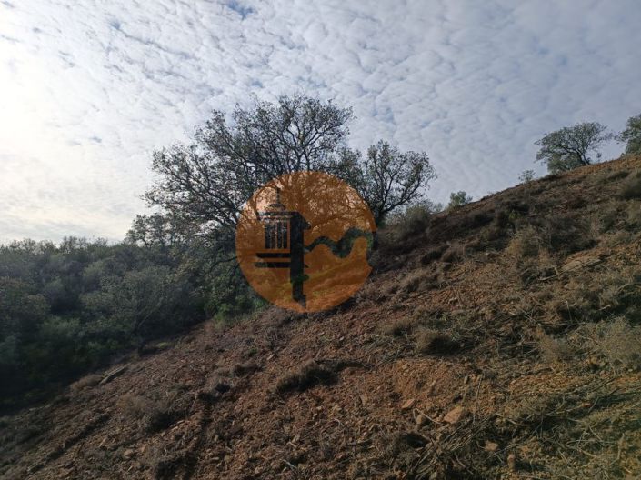 Image No.39-Plot for sale