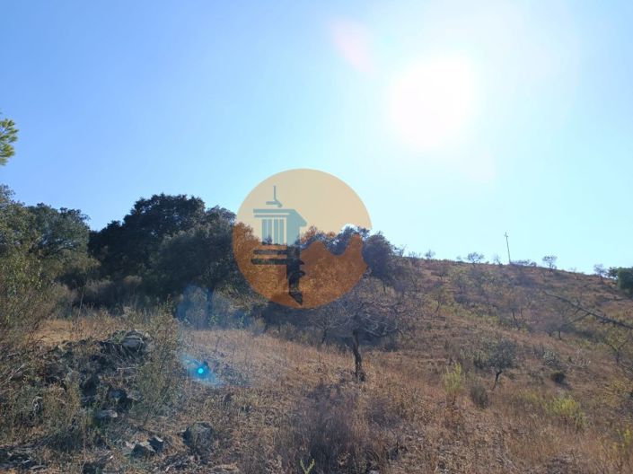 Image No.43-Plot for sale