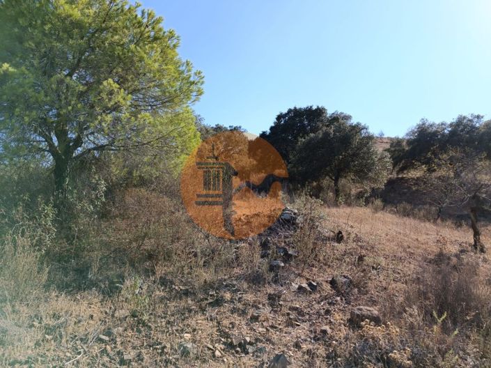 Image No.45-Plot for sale