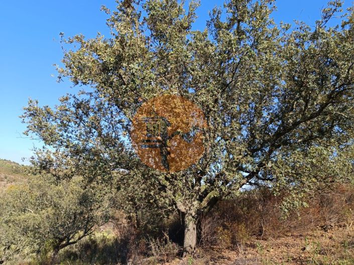 Image No.46-Plot for sale