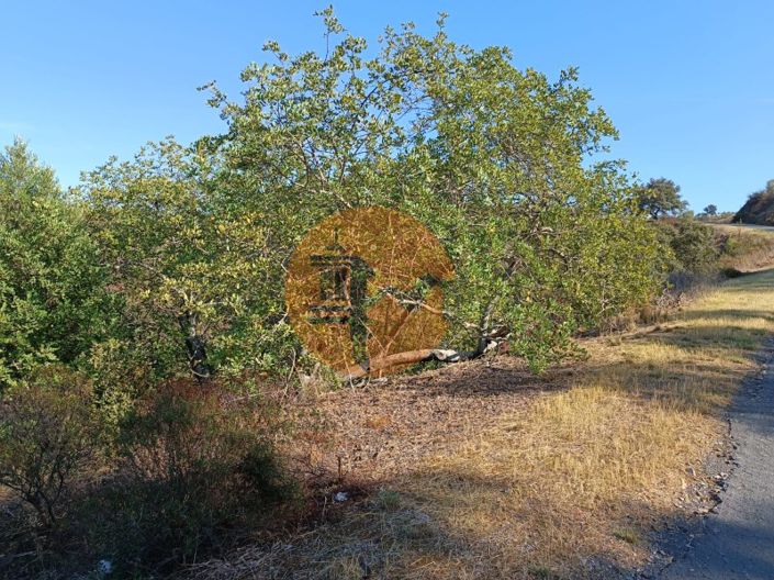 Image No.48-Plot for sale