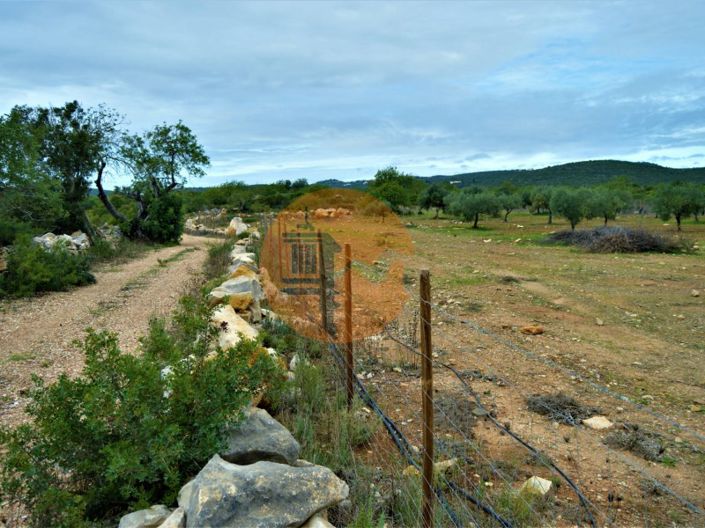 Image No.4-Plot for sale