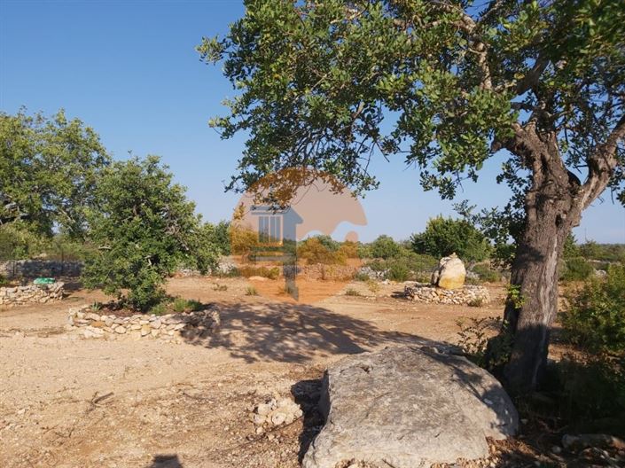 Image No.6-Plot for sale