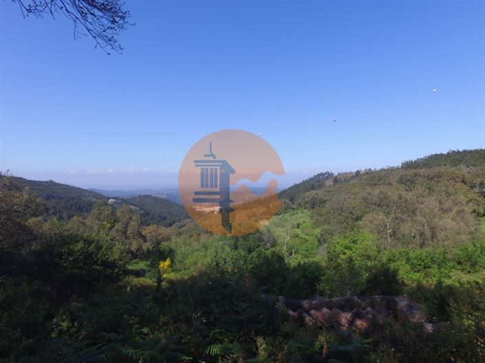 Image No.3-Plot for sale