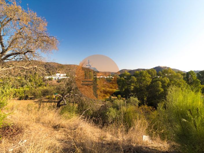 Image No.13-Plot for sale