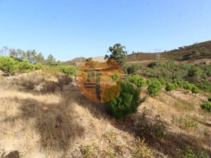 Image No.10-Plot for sale