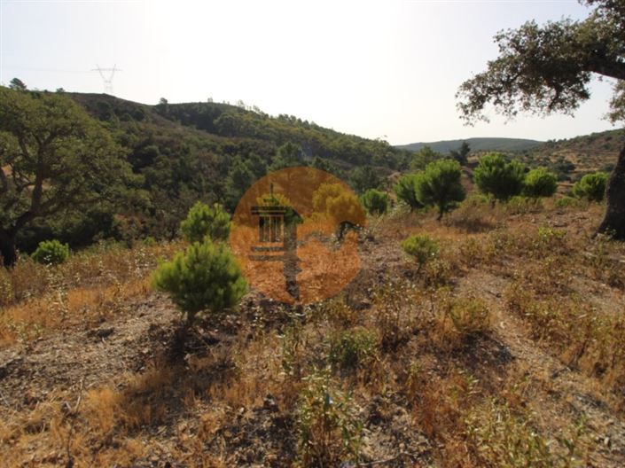 Image No.12-Plot for sale