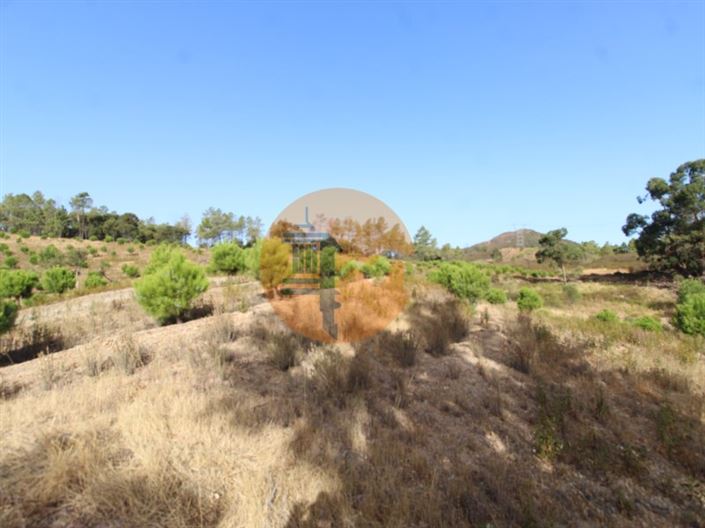 Image No.11-Plot for sale