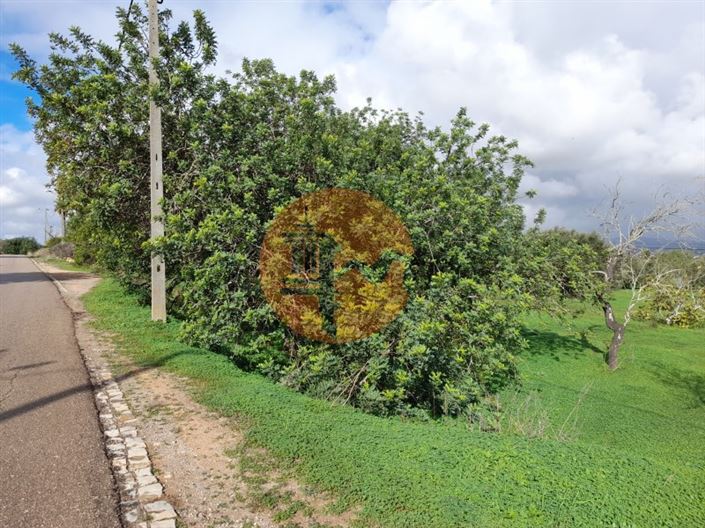 Image No.2-Plot for sale