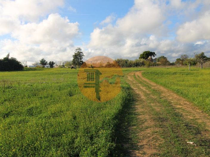 Image No.9-Plot for sale