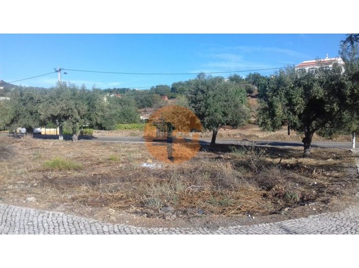 Image No.14-Plot for sale