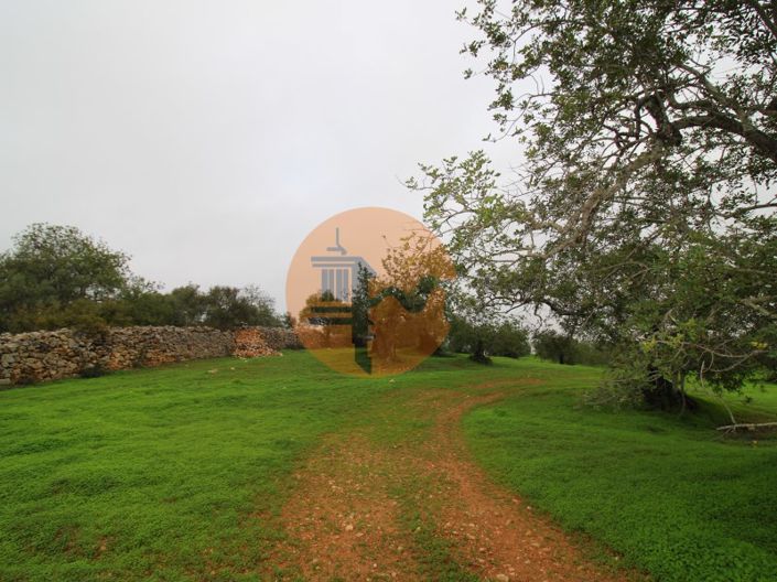 Image No.10-Plot for sale