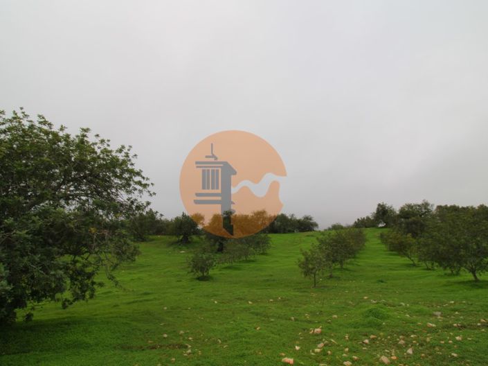 Image No.18-Plot for sale