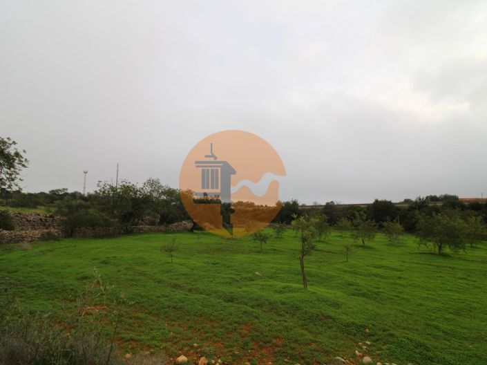 Image No.8-Plot for sale