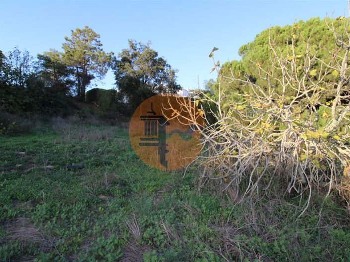 Image No.5-Plot for sale