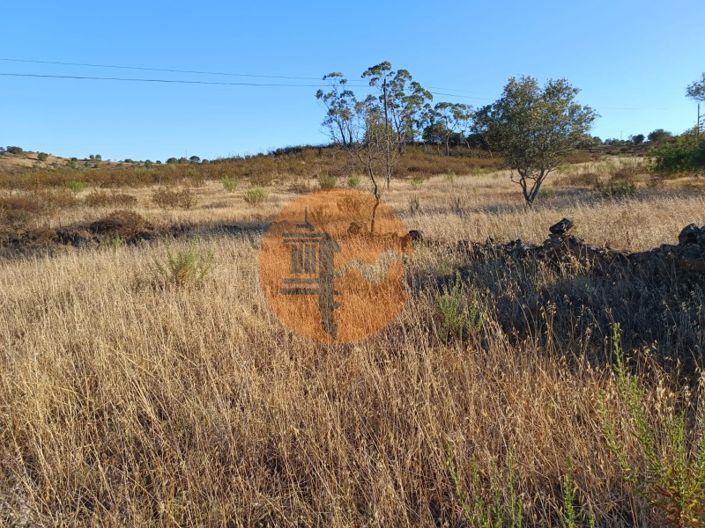 Image No.13-Plot for sale