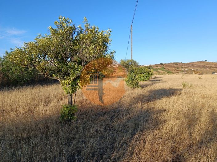 Image No.14-Plot for sale