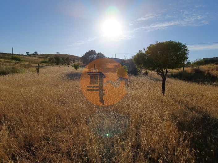 Image No.5-Plot for sale