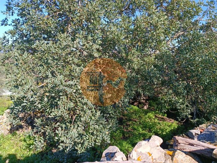 Image No.17-1 Bed House for sale