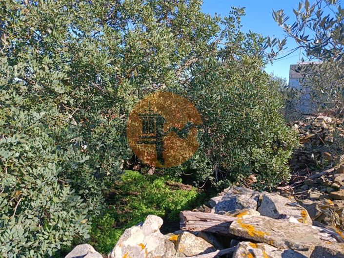 Image No.22-1 Bed House for sale