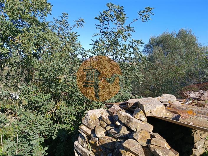 Image No.23-1 Bed House for sale