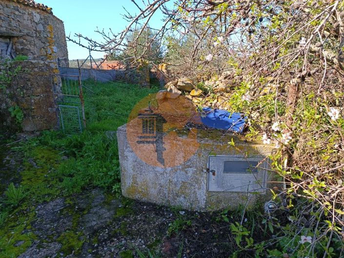 Image No.3-1 Bed House for sale