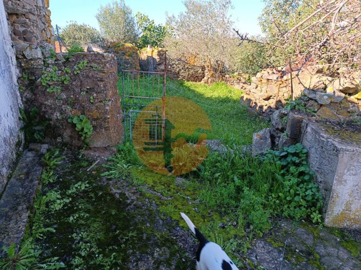 Image No.4-1 Bed House for sale