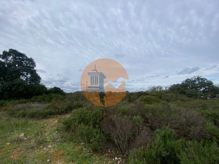 Image No.11-Plot for sale