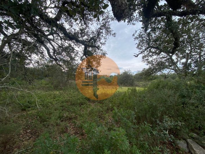 Image No.2-Plot for sale