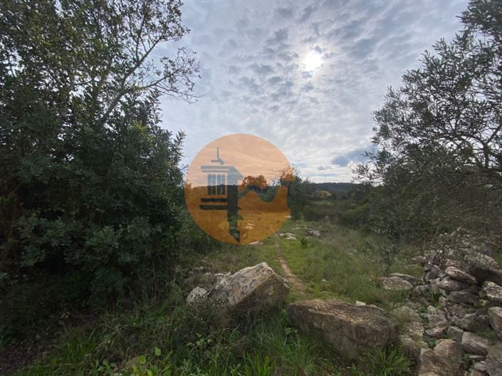 Image No.6-Plot for sale