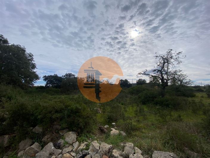 Image No.7-Plot for sale