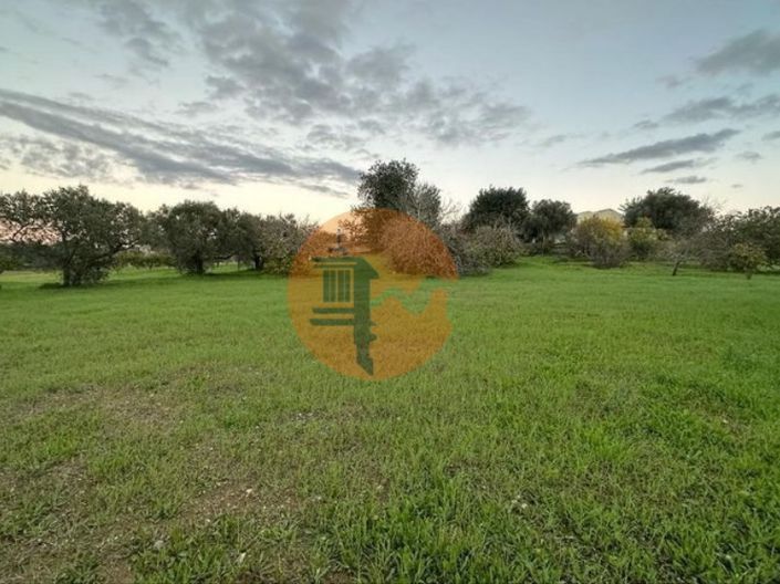 Image No.2-Plot for sale