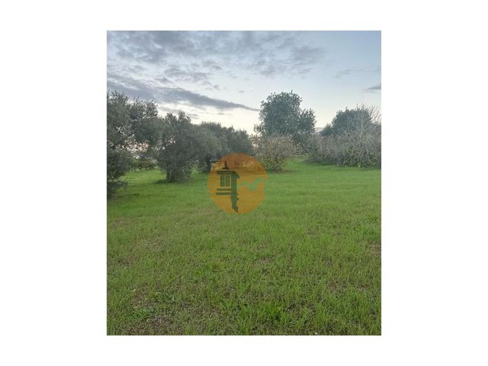 Image No.4-Plot for sale