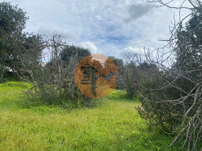 Image No.5-Plot for sale