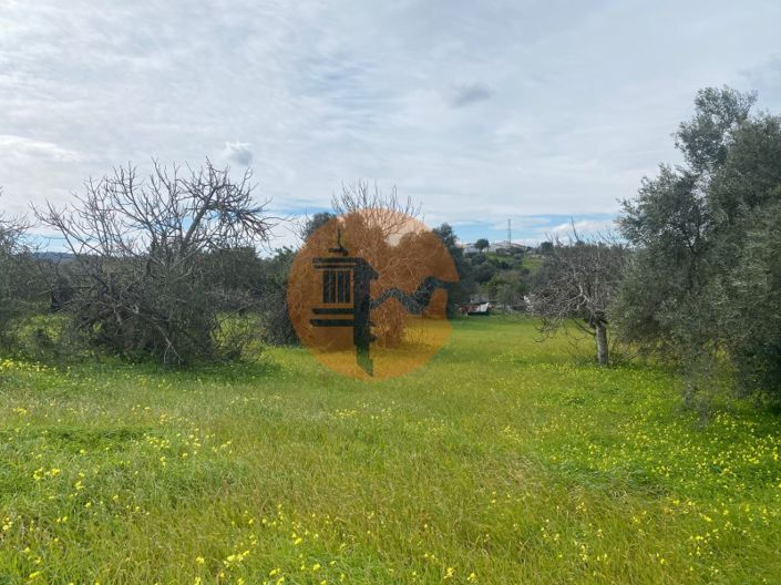 Image No.6-Plot for sale