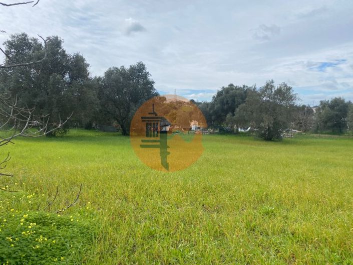 Image No.8-Plot for sale