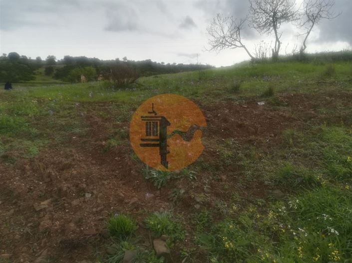 Image No.14-Plot for sale