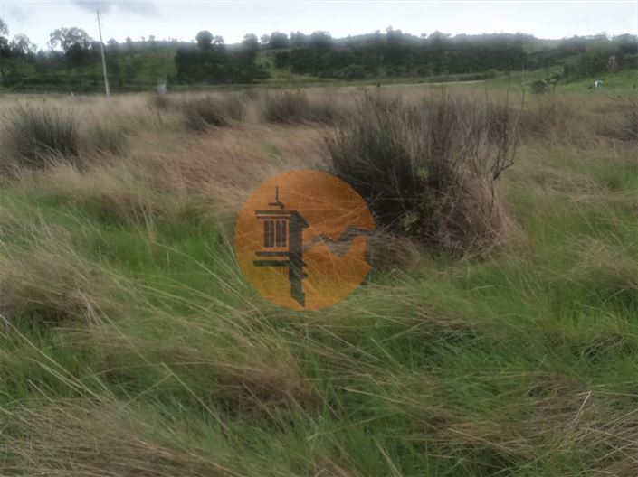 Image No.25-Plot for sale